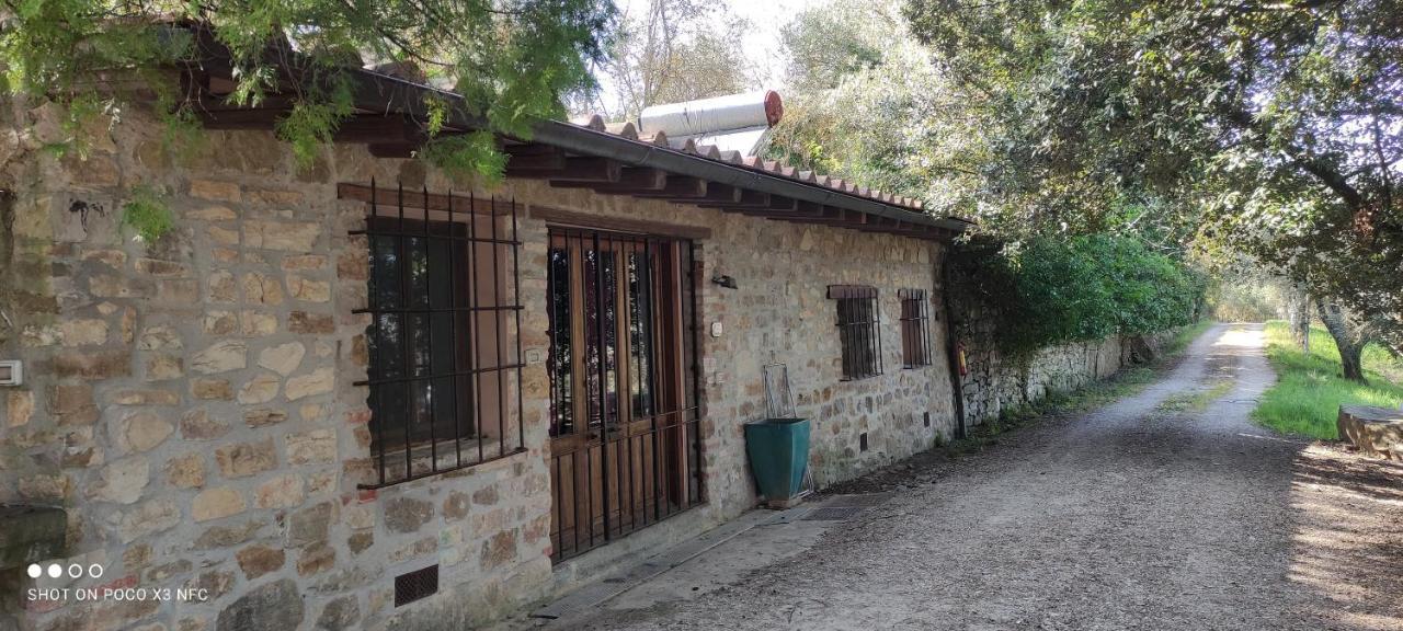 Fattoria Il Milione Agriturismo Firenze Kültér fotó