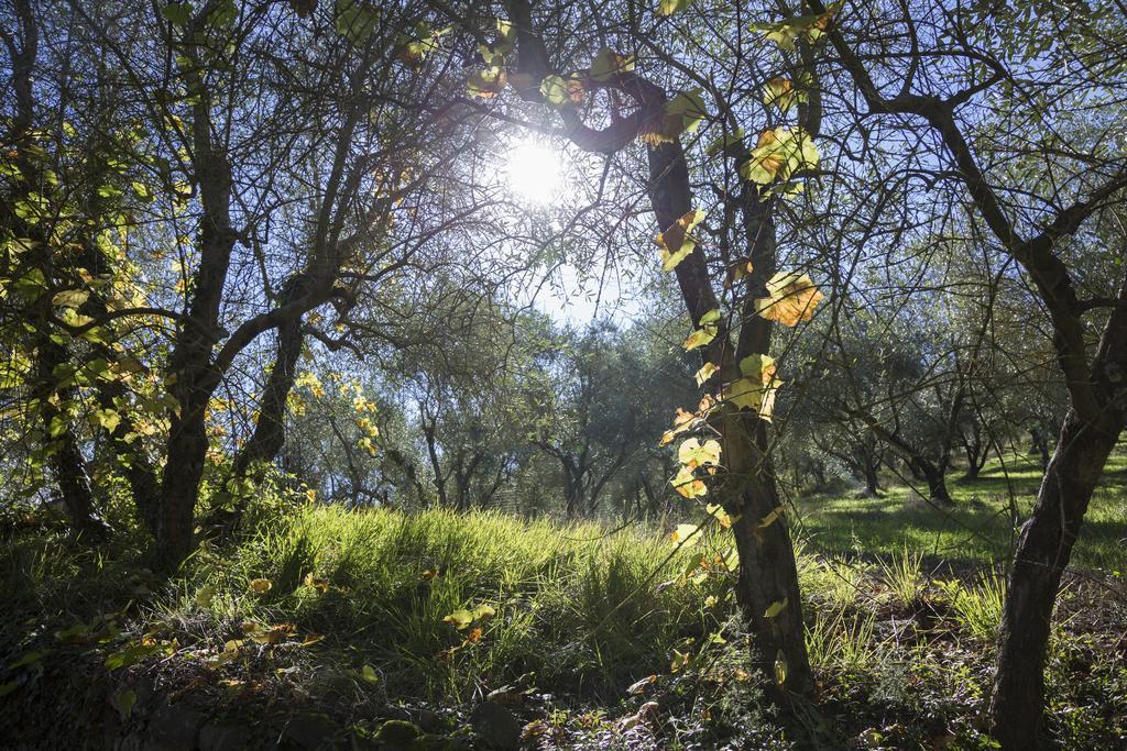 Fattoria Il Milione Agriturismo Firenze Kültér fotó