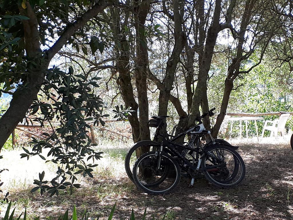 Fattoria Il Milione Agriturismo Firenze Kültér fotó