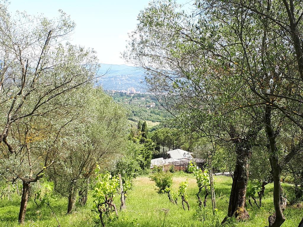 Fattoria Il Milione Agriturismo Firenze Kültér fotó