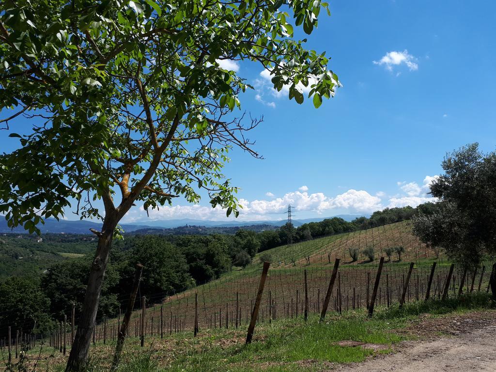 Fattoria Il Milione Agriturismo Firenze Kültér fotó